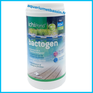 bactogen anti algues bassin
