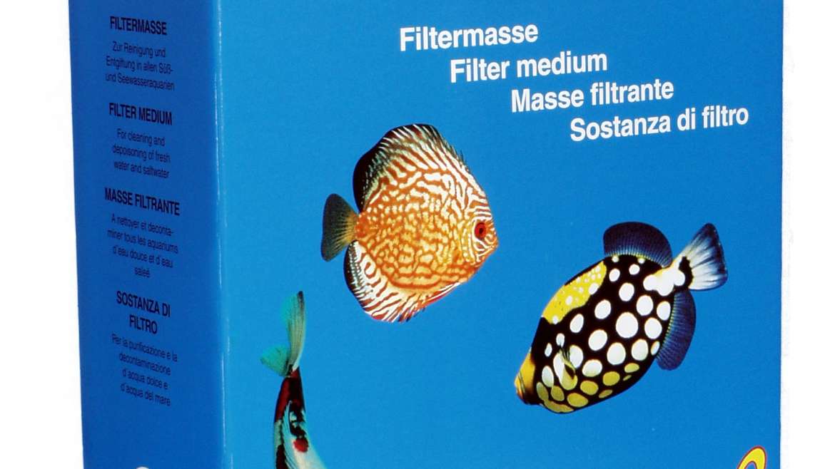 ARRIVAGE PLANTES TROPICA