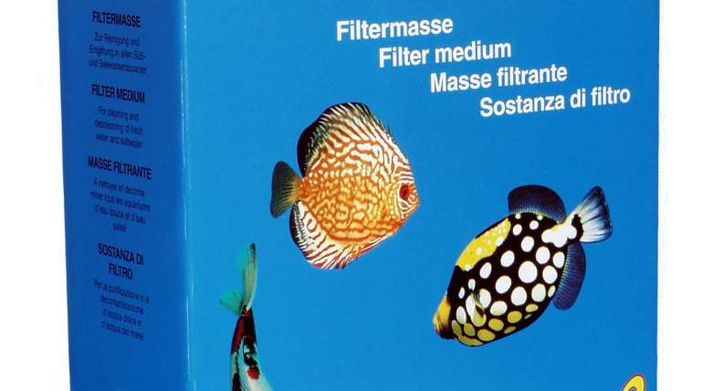 ARRIVAGE PLANTES TROPICA