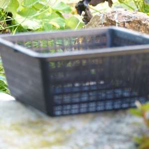 Panier 11