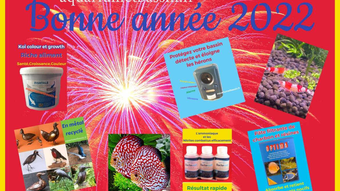 BONNE ANNEE 2022