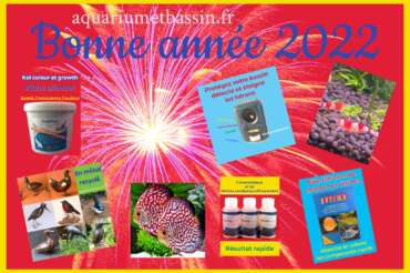 BONNE ANNEE 2022