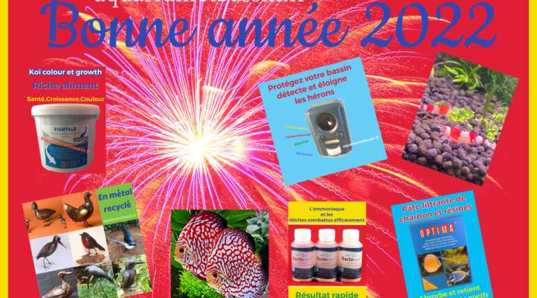 BONNE ANNEE 2022