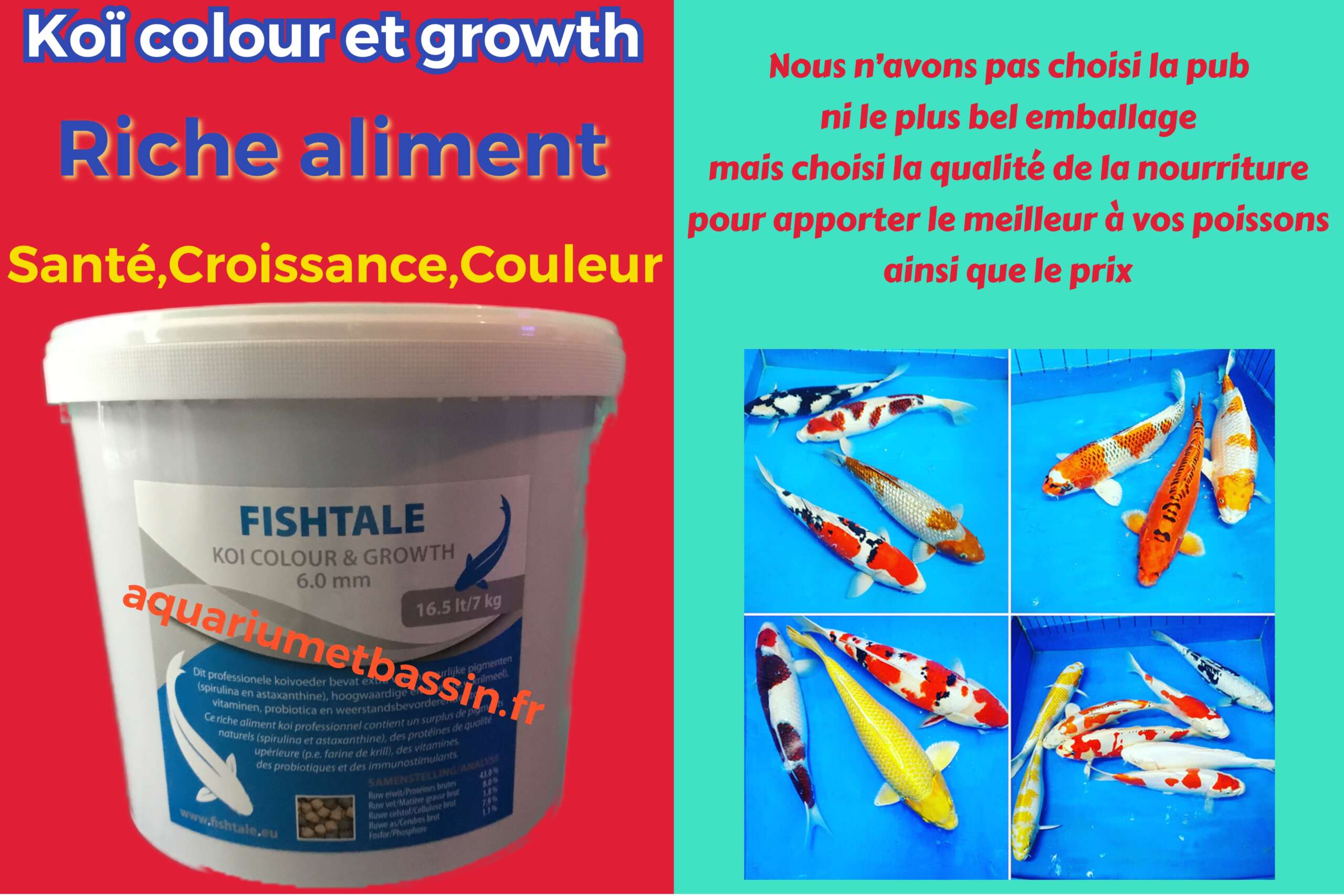 NOURRITURE KOI COLOUR AND GROWTH